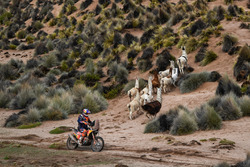 #8 Red Bull KTM Factory Racing KTM: Toby Price