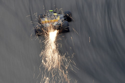 Карлос Сайнс-мол., Renault Sport F1 Team R.S. 18