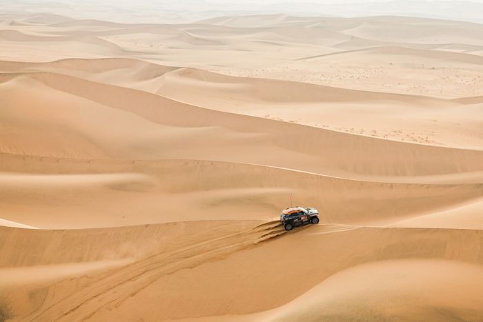 #222 X-Raid Mini JCW Mini: Guillaume De Mevius, Mathieu Baumel