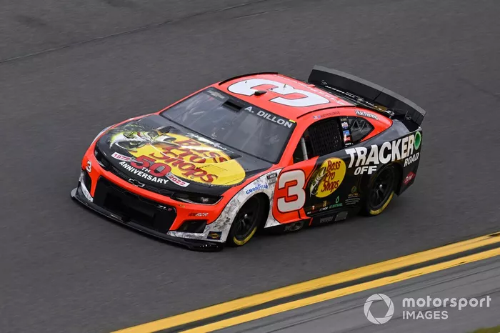 #3: Austin Dillon (Childress-Chevrolet)