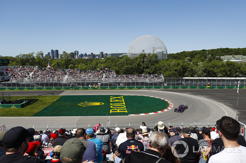 Brendon Hartley, Toro Rosso STR13