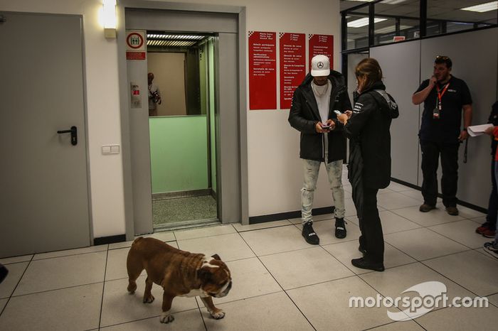 Lewis Hamilton, Mercedes AMG F1y su perro Roscoe