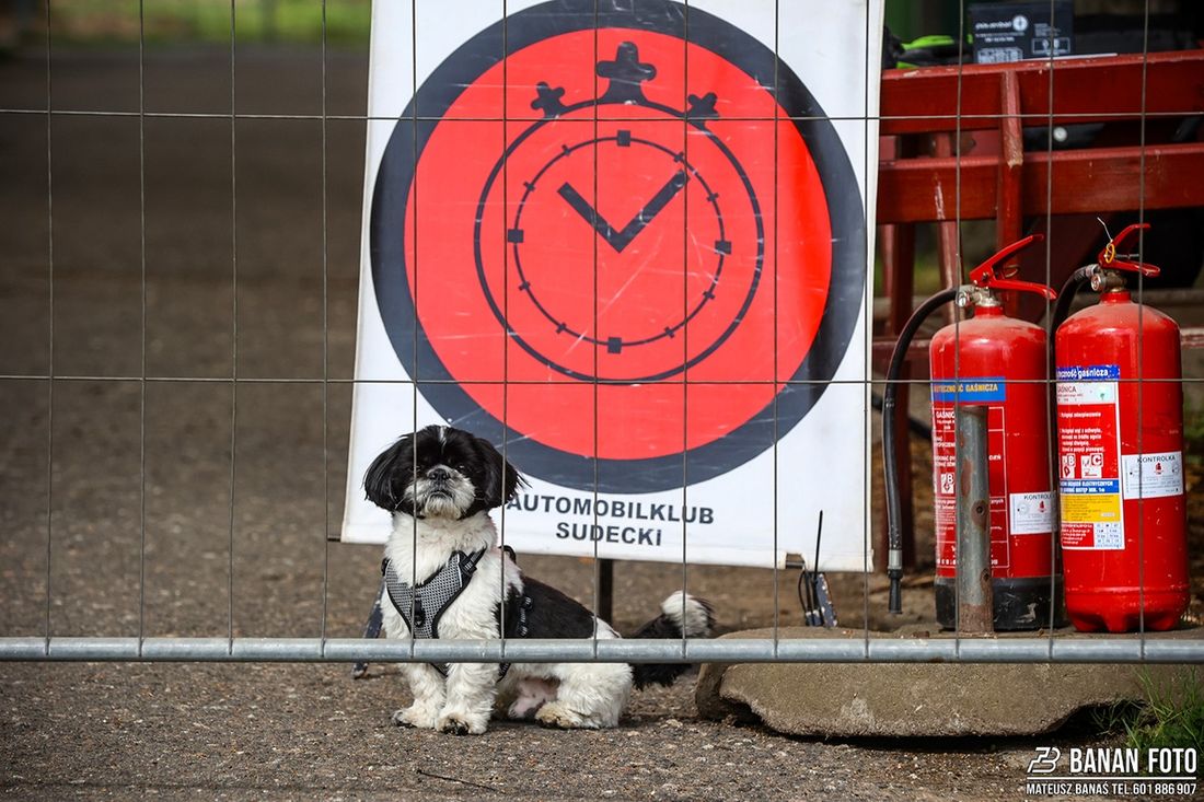 Rajd Świdnicki 2025 -Mateusz Banaś