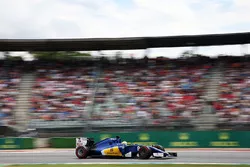 Marcus Ericsson, Sauber C35