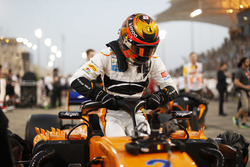 Stoffel Vandoorne, McLaren, on the grid