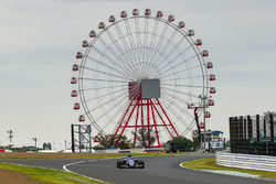Pascal Wehrlein, Sauber C36