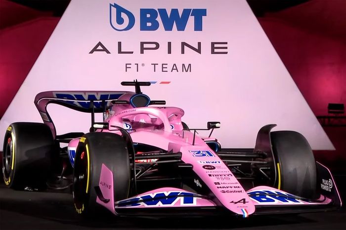 Decoración Rosa Alpine  A522