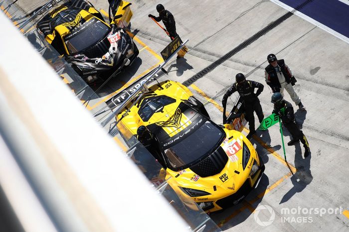 #81 TF Sport Corvette Z06 LMGT3.R: Tom Van Rompuy, Rui Andrade, Charlie Eastwood, #82 TF Sport Corvette Z06 LMGT3.R: Hiroshi Koizumi, Sebastien Baud, Daniel Juncadella.