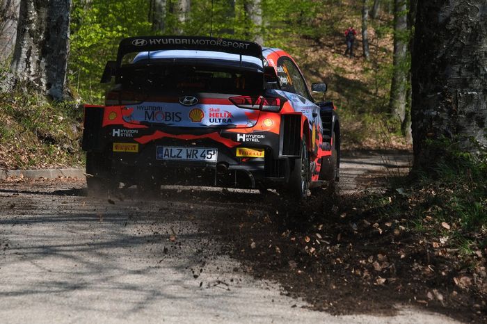 Thierry Neuville, Martijn Wydaeghe, Hyundai Motorsport Hyundai i20 Coupe WRC