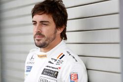 Fernando Alonso, Andretti Autosport Honda