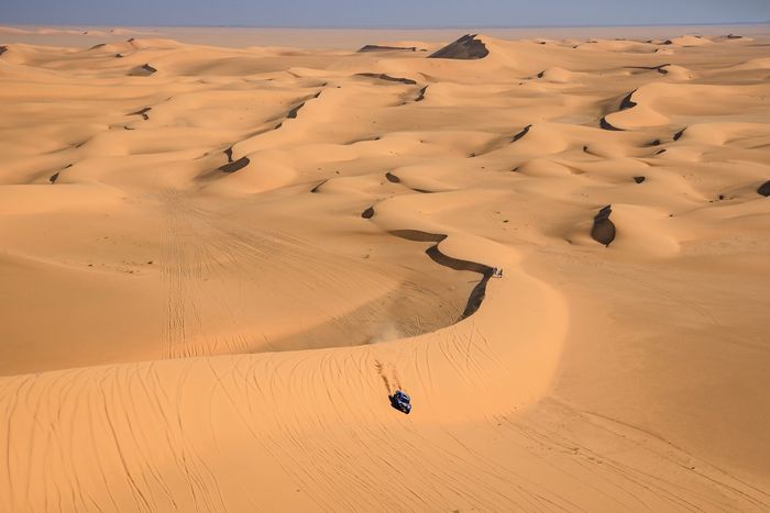 #226 Ford M-Sport Ford: Mattias Ekstrom, Emil Bergkvist