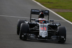 Стоффель Вандорн, тест-пилот McLaren MP4-31