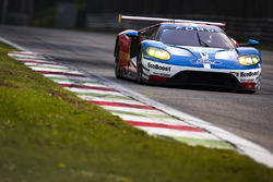 #67 Ford Chip Ganassi Racing Ford GT: Andy Priaulx, Harry Tincknell