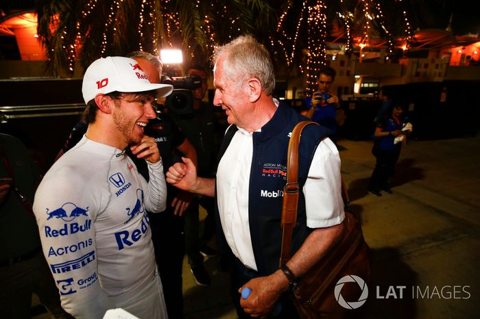 Pierre Gasly, Toro Rosso, Helmut Markko