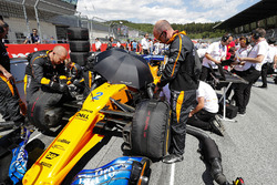 Engineers on the grid with Stoffel Vandoorne, McLaren MCL33