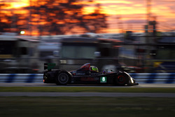 #8 Starworks Motorsports ORECA FLM09: Jack Hawskworth, Chris Cumming, Renger van der Zande, Alex Pop