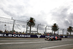 Max Verstappen, Scuderia Toro Rosso STR11