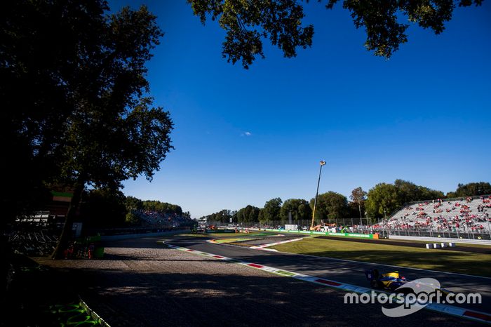 Tatiana Calderon, DAMS