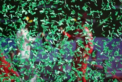 Podium celebration atmosphere
