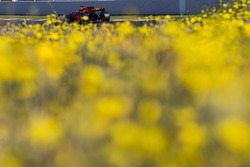 Daniel Ricciardo, Red Bull Racing RB13
