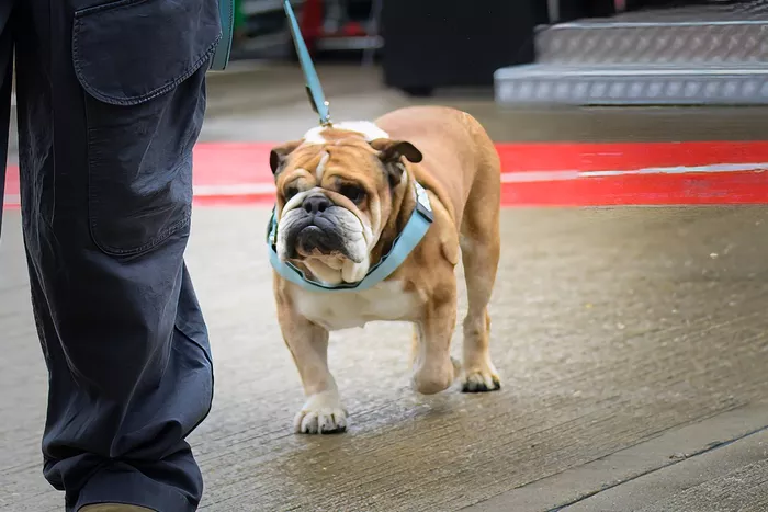 Roscoe