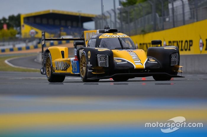 #29 Racing Team Nederland Dallara P217: Frits van Eerd, Giedo van der Garde, Nyck de Vries