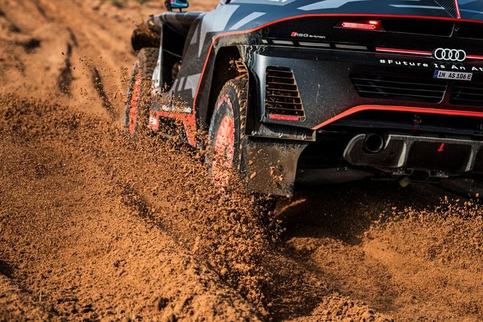 #202 Team Audi Sport Audi: Carlos Sainz, Lucas Cruz