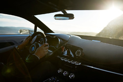 Alpine Vision