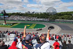 Fernando Alonso, McLaren MP4-31