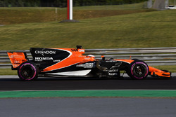 Стоффель Вандорн, McLaren MCL32