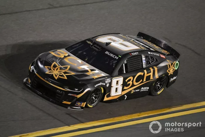 #8: Kyle Busch (Childress-Chevrolet)