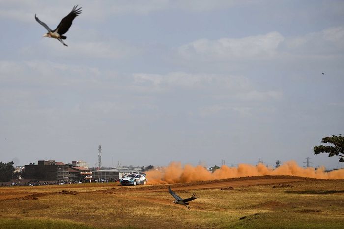 Gus Greensmith, Stuart Loudon, M-Sport Ford WRT Ford Fiesta WRC