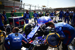 Pierre Gasly, Toro Rosso STR13, on the grid