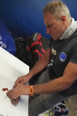 Livio Metelli