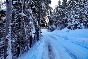 Road cover with snow