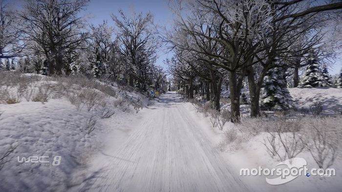Screenshot WRC8