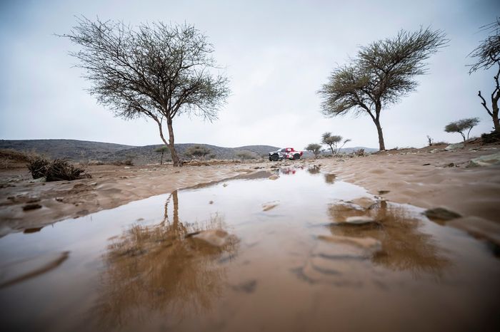 #205 Toyota Gazoo Racing Toyota: Giniel De Villiers, Dennis Murphy