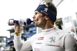 Cyril Despres, Team Peugeot Sport