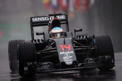 Фернандо Алонсо, McLaren MP4-31