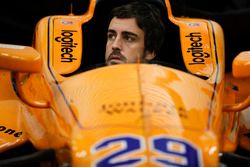 Fernando Alonso, Andretti Autosport Honda