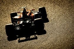 Stoffel Vandoorne, McLaren MCL32