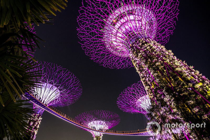 The illuminated Supertree Grove in the Gardens by the Bay at night