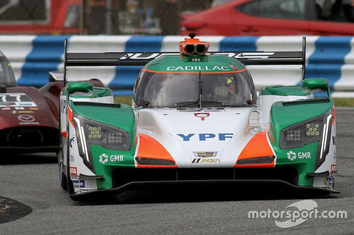 #50 Juncos Racing Cadillac DPi, DPi: Will Owen, Rene Binder, Agustin Canapino, Kyle Kaiser