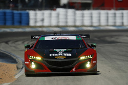 #69 HART Acura NSX GT3, GTD: Chad Gilsinger, Ryan Eversley, Tom Dyer