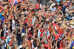 Fans