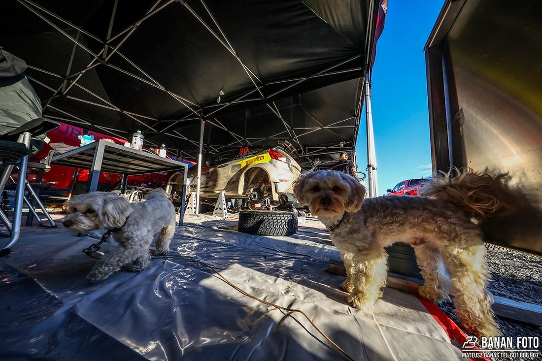 Rajd Skandynawii 2025