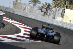 Pascal Wehrlein, Mercedes AMG F1 W06 Hybrid, testet Pirelli-Reifen für 2017