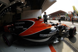 Stoffel Vandoorne, McLaren MCL32