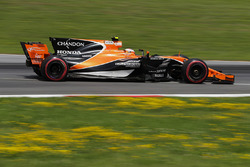 Stoffel Vandoorne, McLaren MCL32