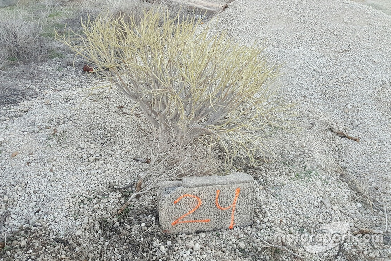 Pietra miliare lungo il tracciato